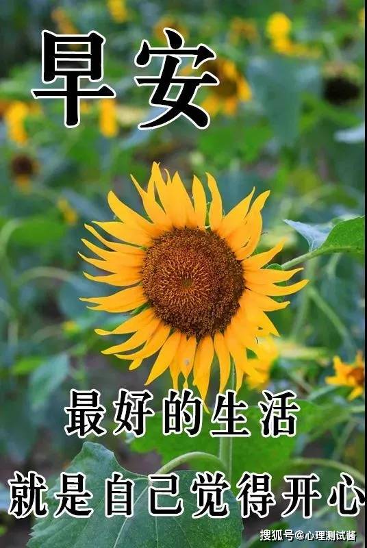 8张最新漂亮春天早上好问候动态鲜花表情图片 春天早安问候图片带字带