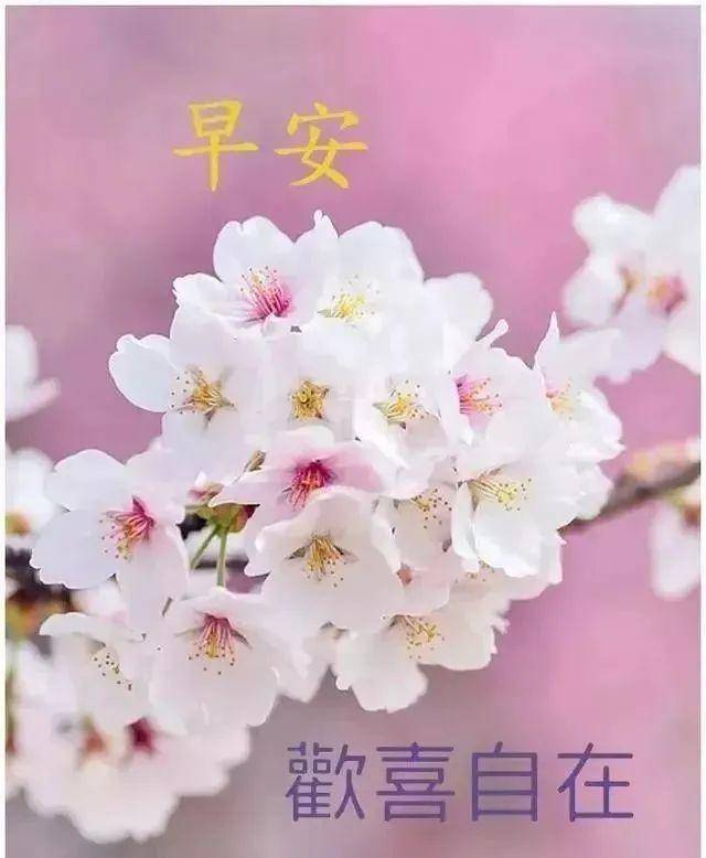 非常漂亮的早安问候祝福语动态美图,温暖早晨好问候图片带字