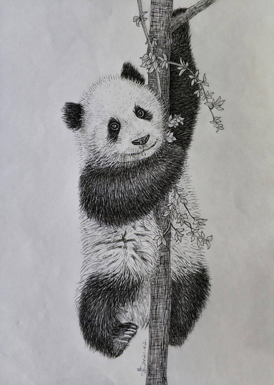 本人在绘大熊猫素描作品时,突发奇想:大熊猫黑白相间的皮毛,正好可