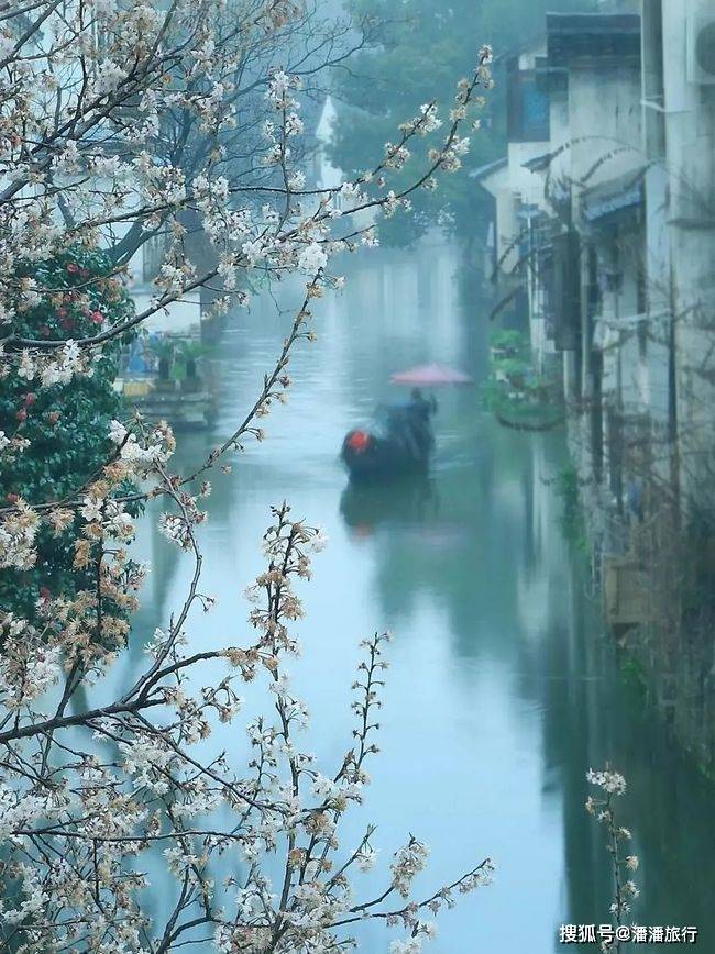 烟雨朦胧,小桥流水,再添一只乌篷船,就是梦里江南最诗意的风景.