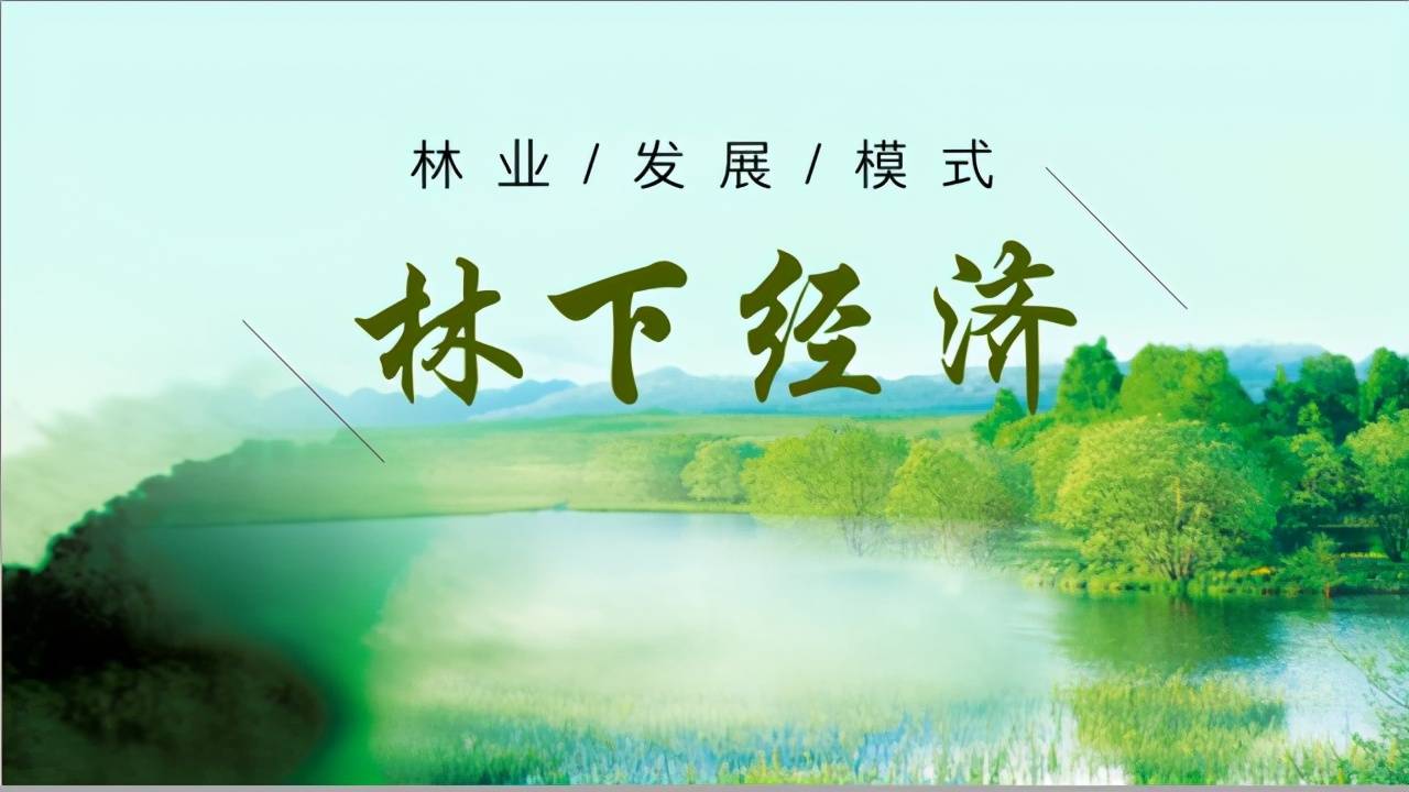 湘西州大力发展林下经济助推乡村振兴