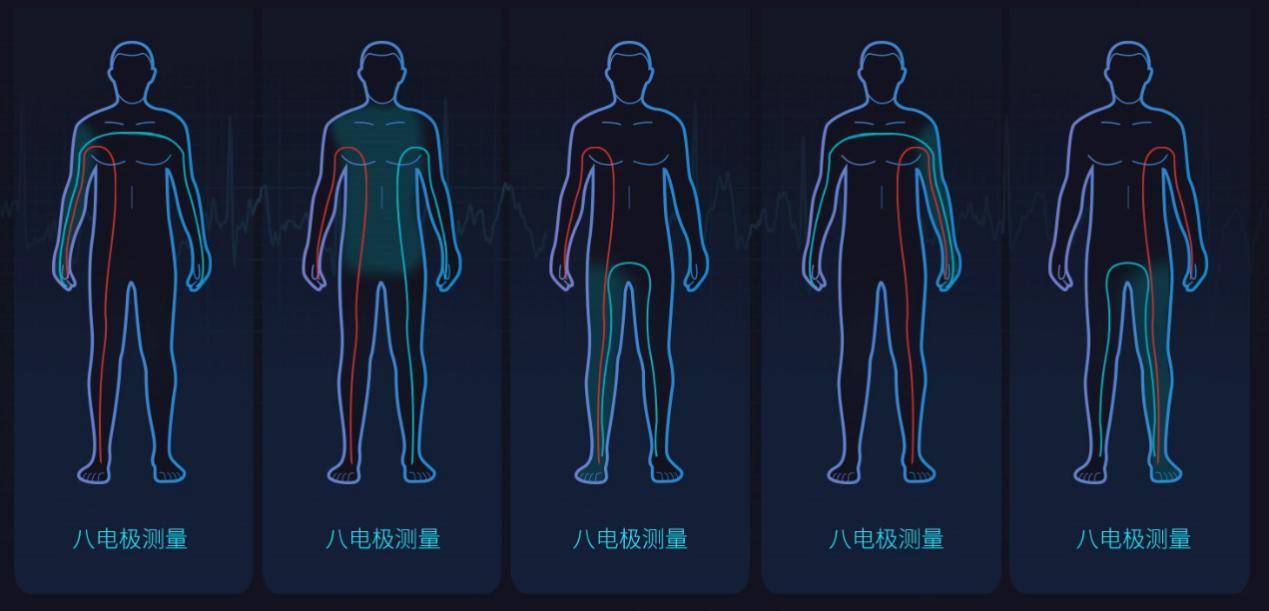 你相信体脂秤真的可以准确测量身体成分吗?_人体