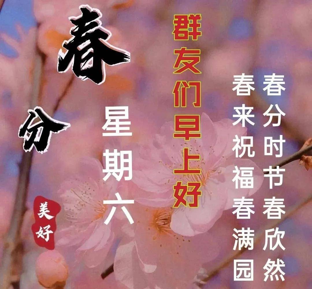 原创2021年3月20日星期六春分早上好问候祝福动态表情图片春分问候