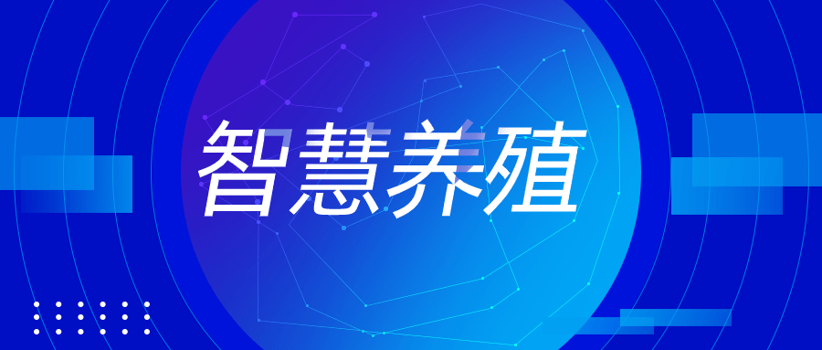 华为也要养猪?养殖场里的"大智慧"!