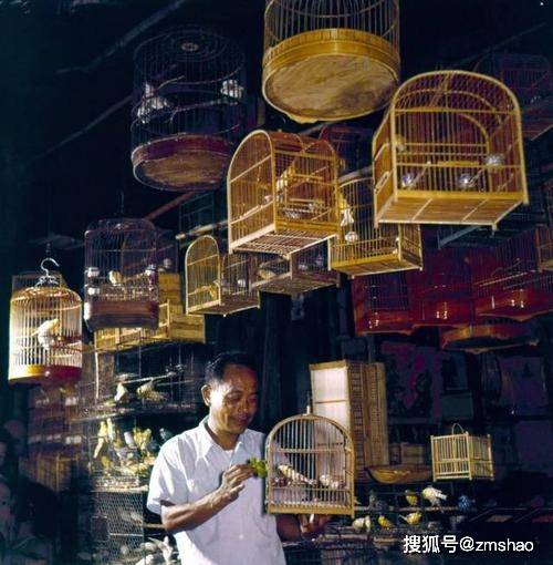 上海江阴路花鸟市场老照片