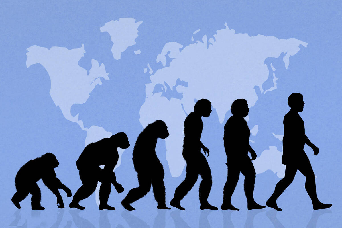 人类的进化你相信神创论还是进化论人类是由古猿进化来的吗