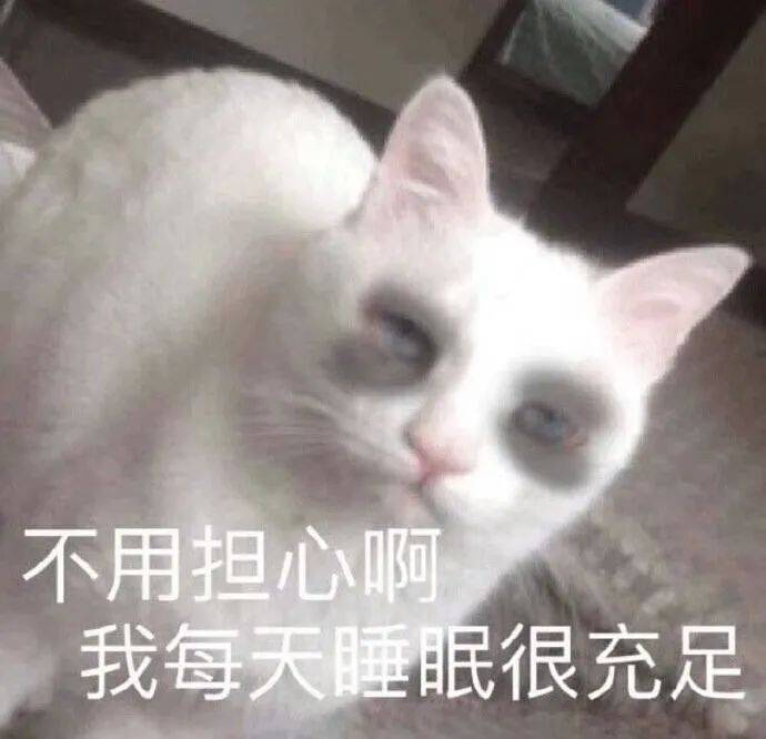 猫咪表情包我已经沉沦了