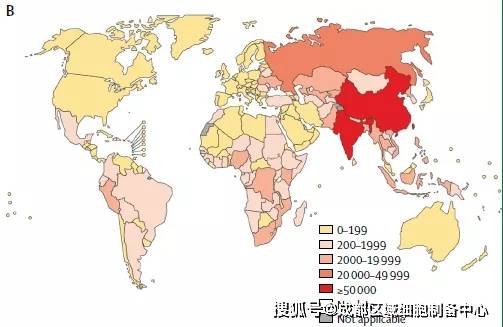 世界防治结核病日丨为守护55亿结核病感染者干细胞肩负更多