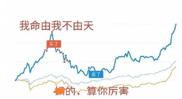 今日搞笑炒股前我命由我不由天炒股后算了你厉害