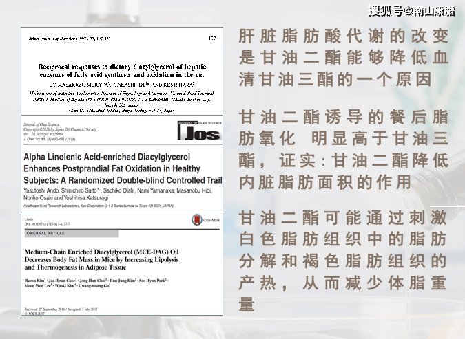 甘油二酯有哪些科学界已经认可的功效?真的可以降血糖降血脂降体脂吗?
