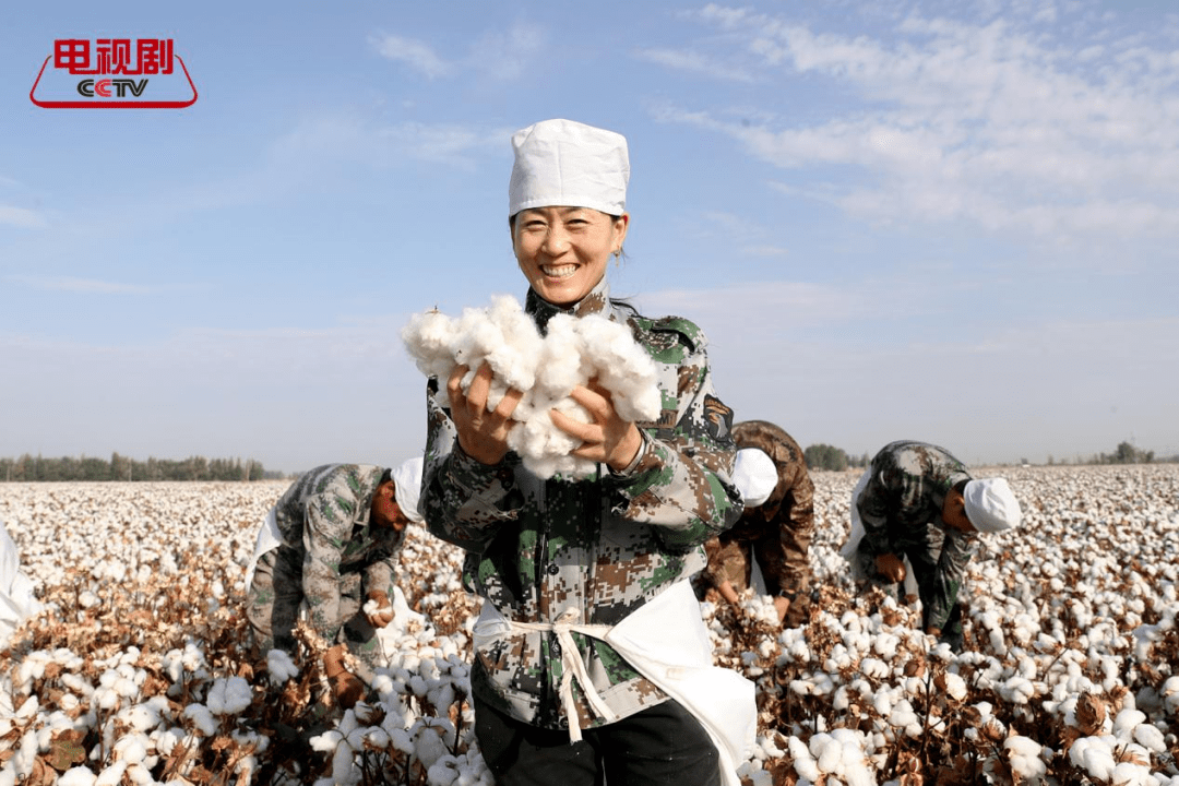 王万兵工作室影视中心电视剧花开时节挖掘了中国农民精神之美