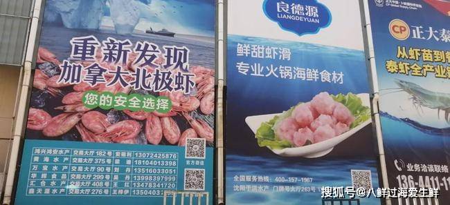 原创加拿大北极虾批发市场广告牌:第一弹沈阳于洪水产市场!