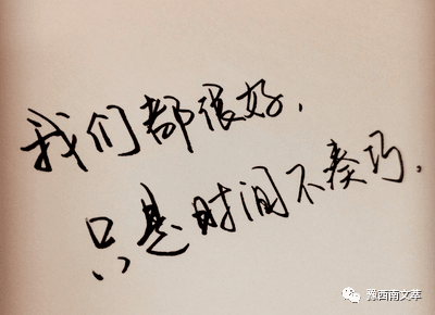 王崇菊:我和你相遇在人海|中原作家