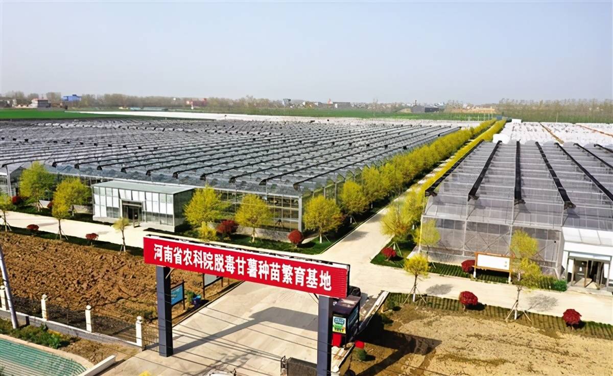给农业插上科技的翅膀——河南周口国家农业科技园区走笔