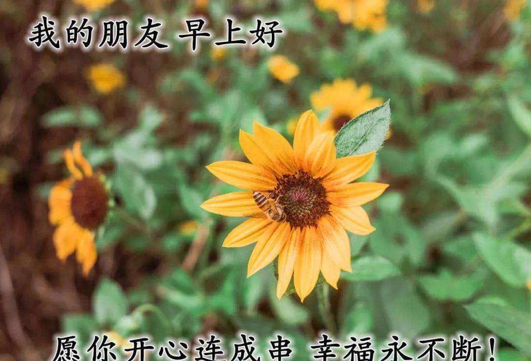 原创2021早晨最暖心的问候祝福图片,愿你每天都有笑容