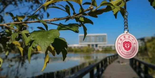 中国药科大学怎么样?业界大佬,名不虚传!