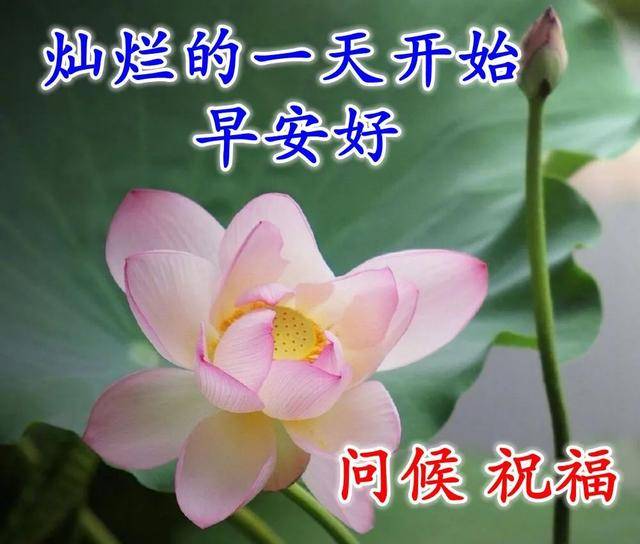 周末愉快特漂亮祝福表情图片,愿阳光与快乐与你同在,早安祝福词句