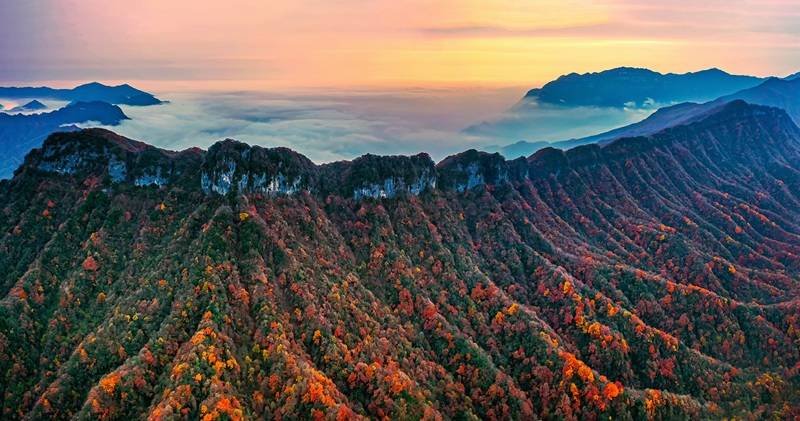 《光雾山云烟》摄于四川省光雾山景区 赵永清/摄《黎槎八卦村》航拍