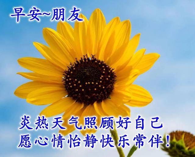 微信早上好最美温馨图片,祝你每天吉祥如意