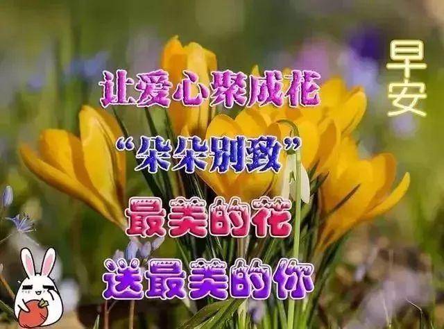 群发朋友圈很暖心早安图片,让自己每天充满阳光的早安