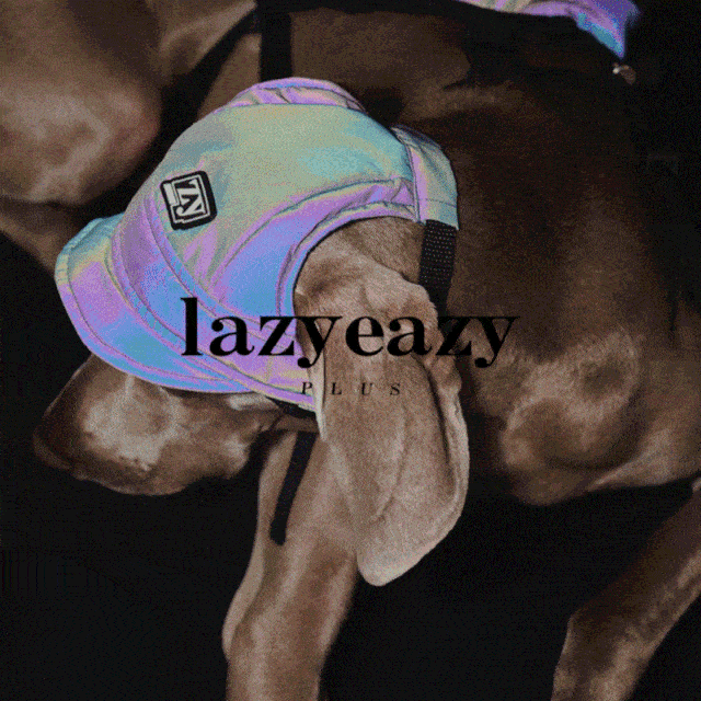 抢先剧透凡几市集带着200独立设计回来了