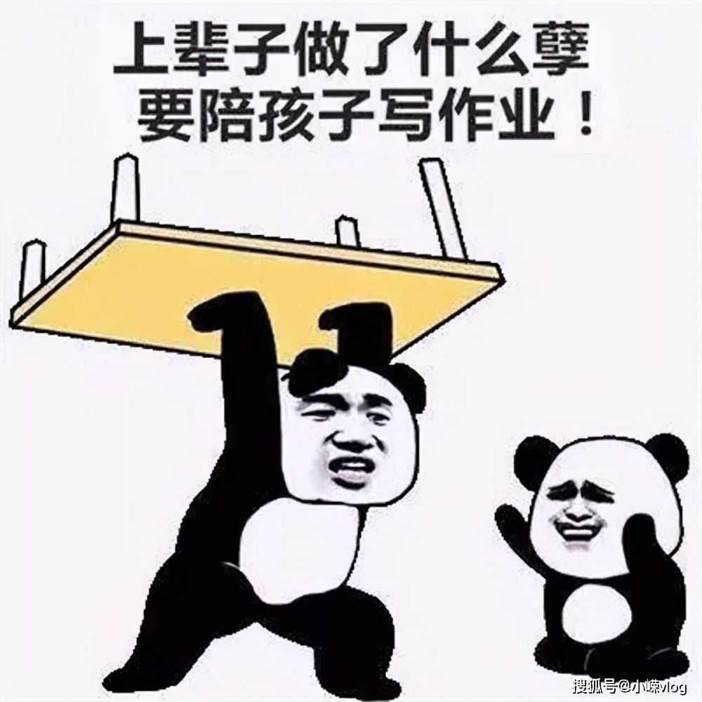 一写作业,鸡飞狗跳