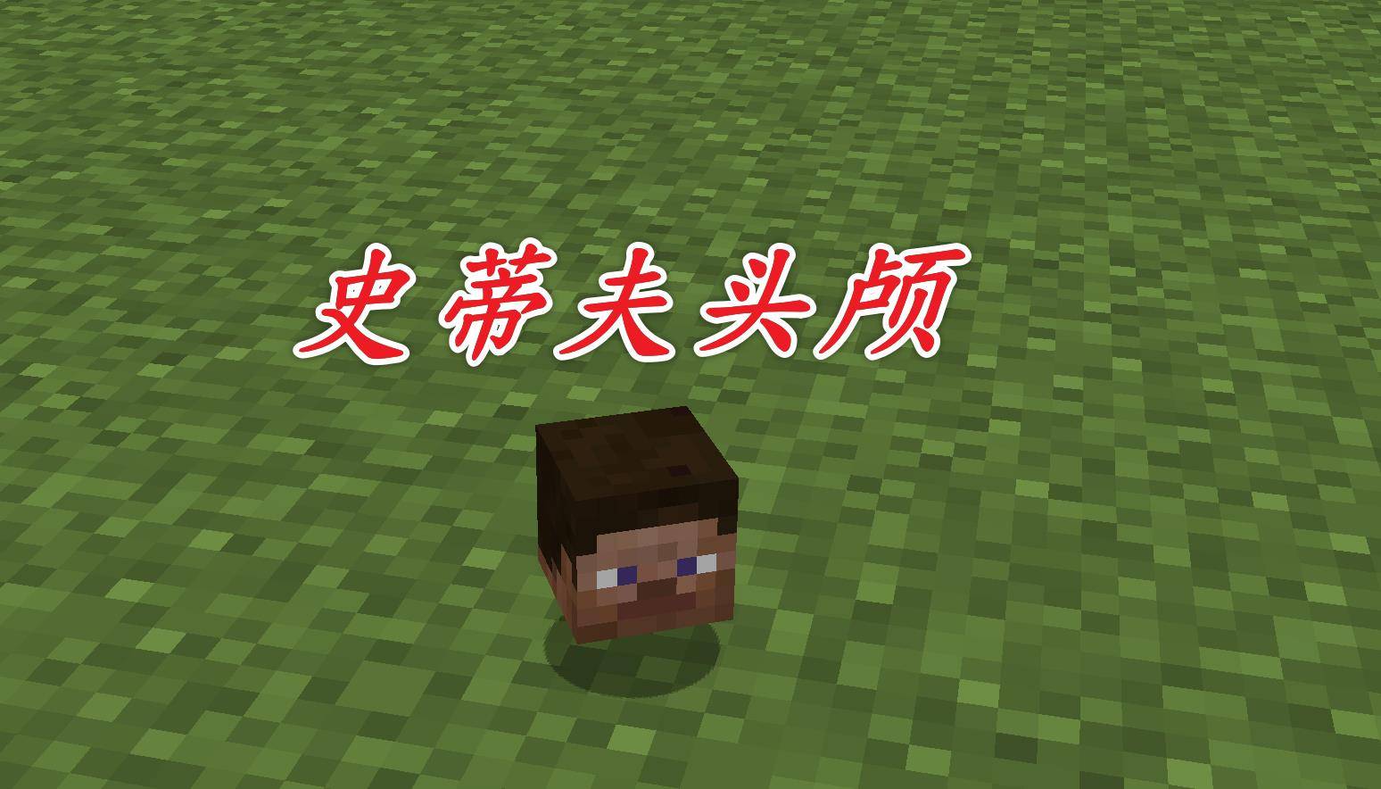 我的世界:很难获取的4件道具,第一个看人品掉落的_头颅
