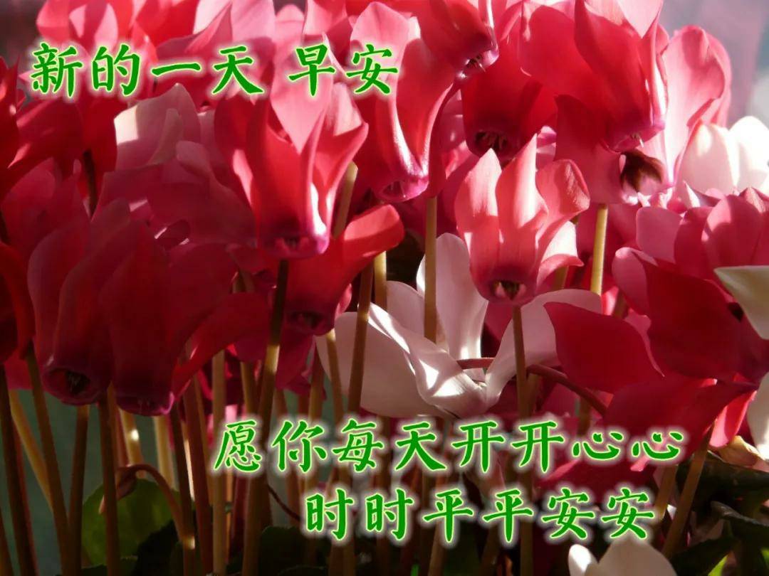 早上好祝福语句,带字祝福图片,做一个正能量的人,比什么都重要!