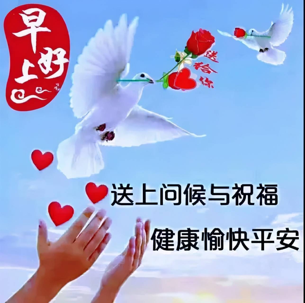 早上好!朋友淡淡地祝福最真,愿你天天都开心,2021年祝福早安