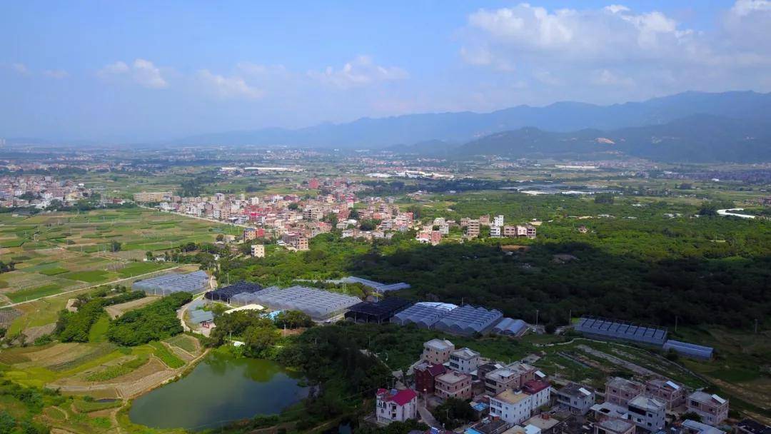 田洋村-竹坝片区"乡村振兴动线 "莲花北高速出口-澳溪村"乡村振兴动线