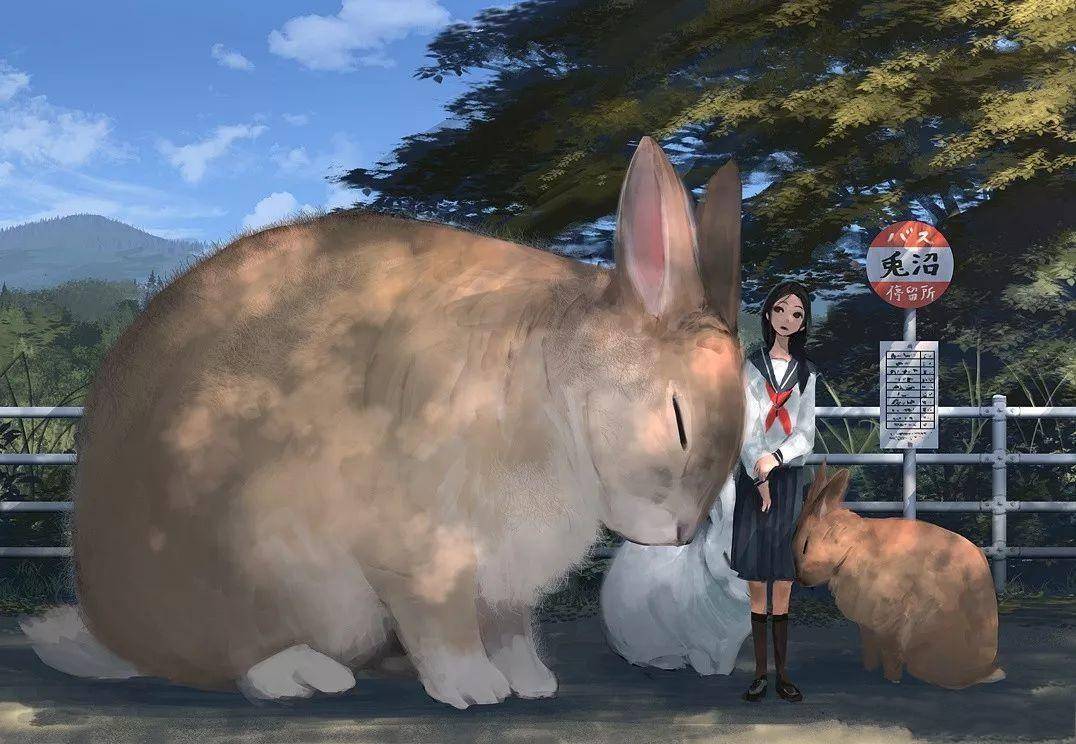 花花公子兔女郎的宠物被盗:世界各地巨型兔子高清照片