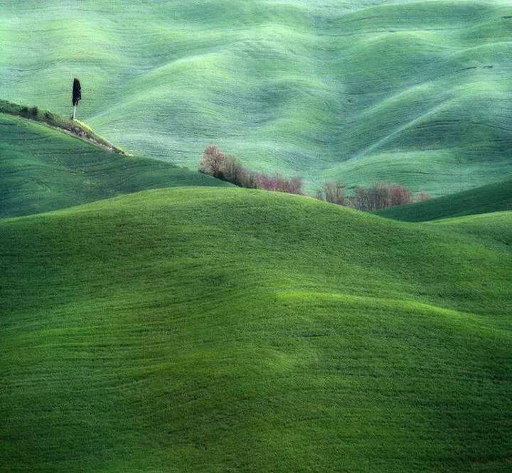 1,辽阔无边的大草原像是一块天工织就的绿色巨毯,走在草地上,那种