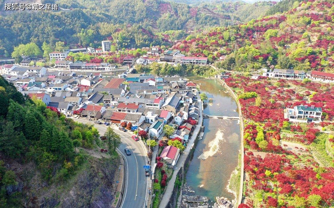 宁波红枫欣赏地,大俞,北溪,唐田,红枫绚烂_北溪村