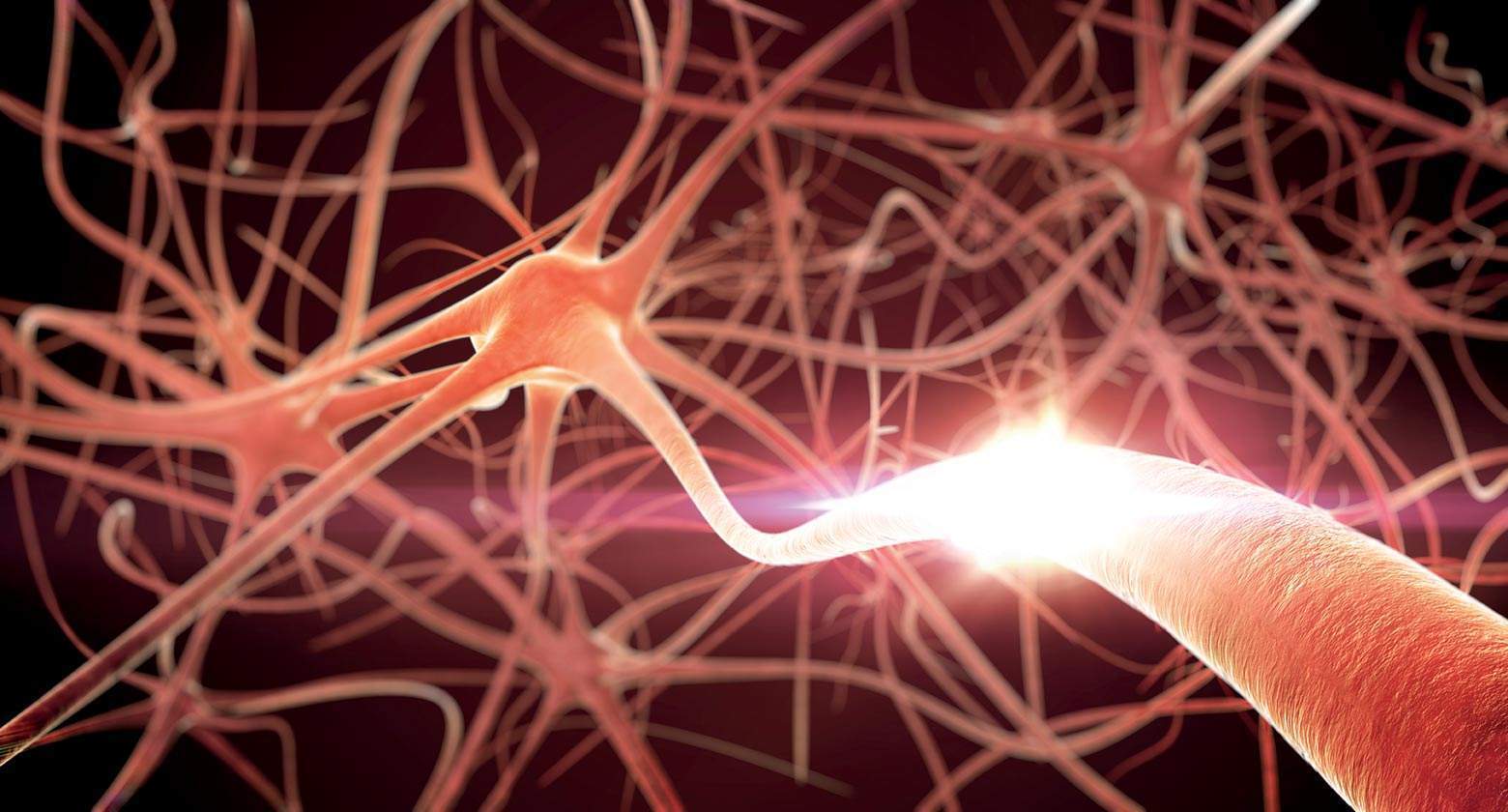 王殿华运动神经元主任:运动神经元病的症状表现是什么?应该怎么办?