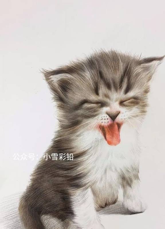 闭着眼睛卖萌的小猫咪可爱吧 彩铅画一只喵星人