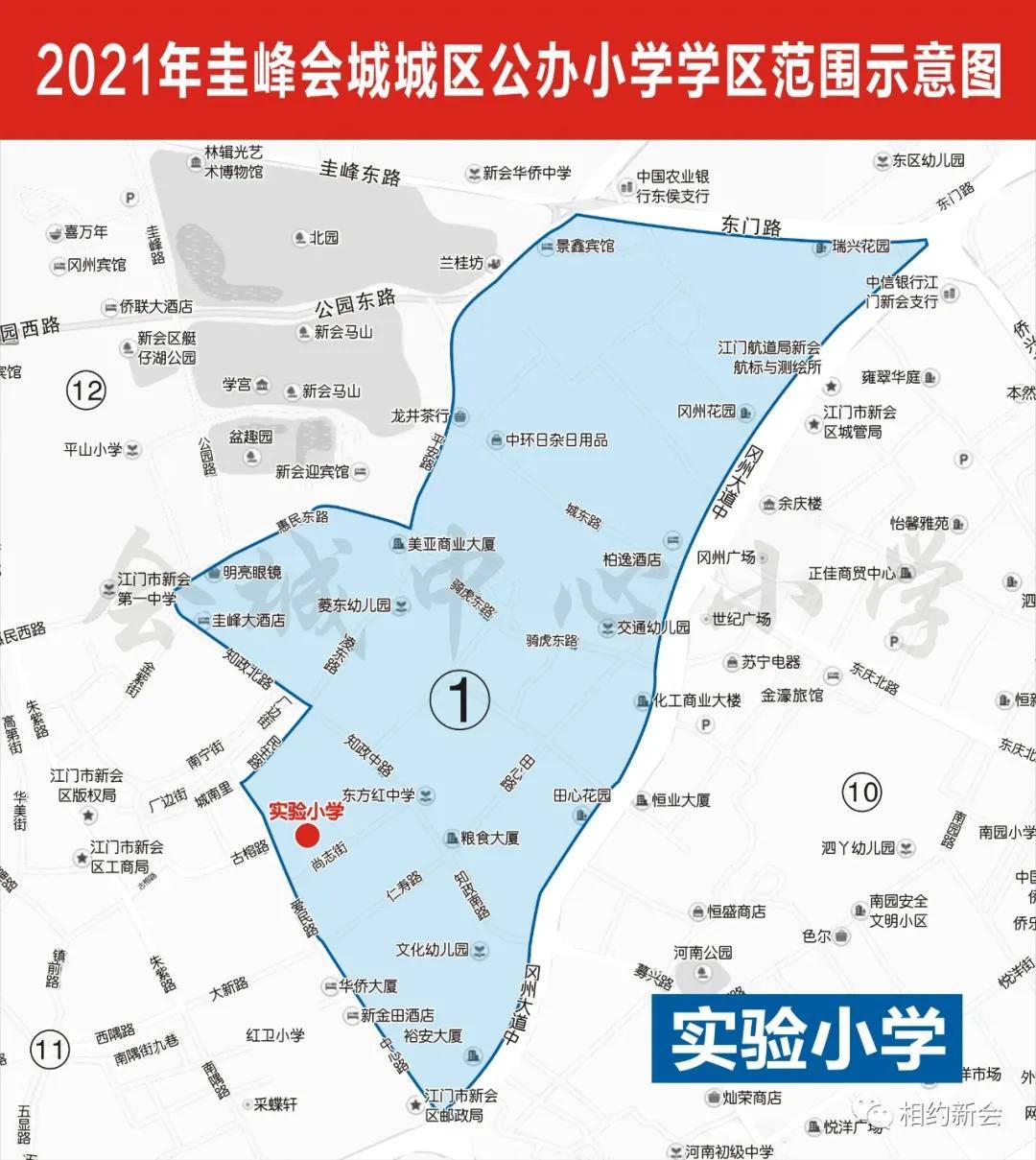 2021新会公办小学 初中学区出炉!附详细小区