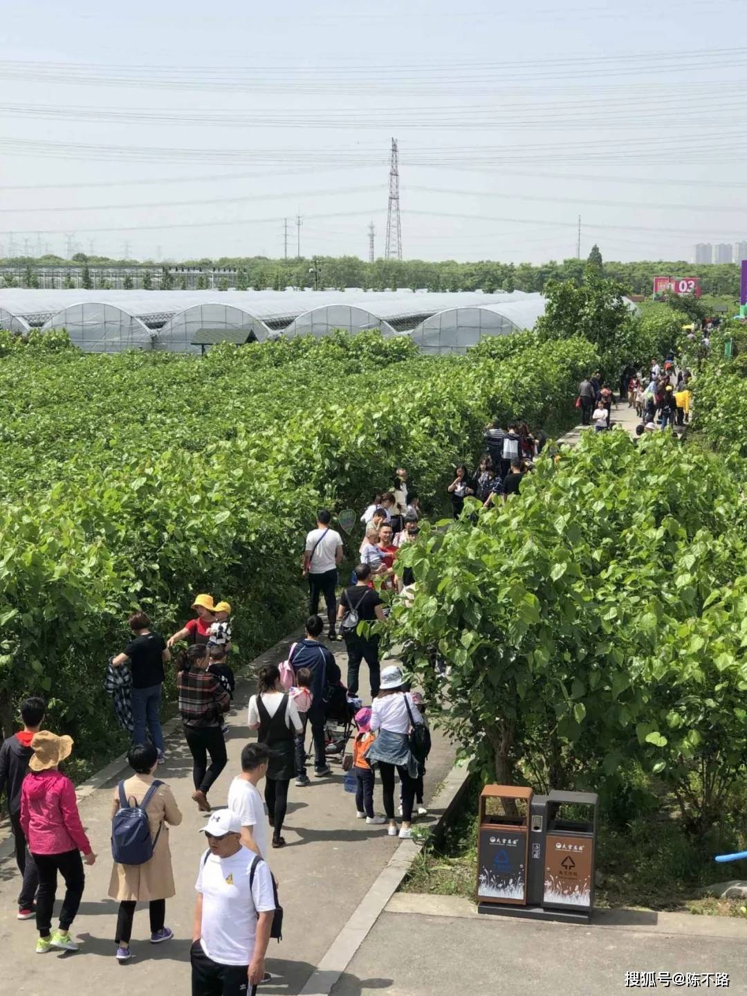 宁波天宫庄园桑果采摘啦园内无限畅吃更有mr奇遇之旅小龙虾美食节等