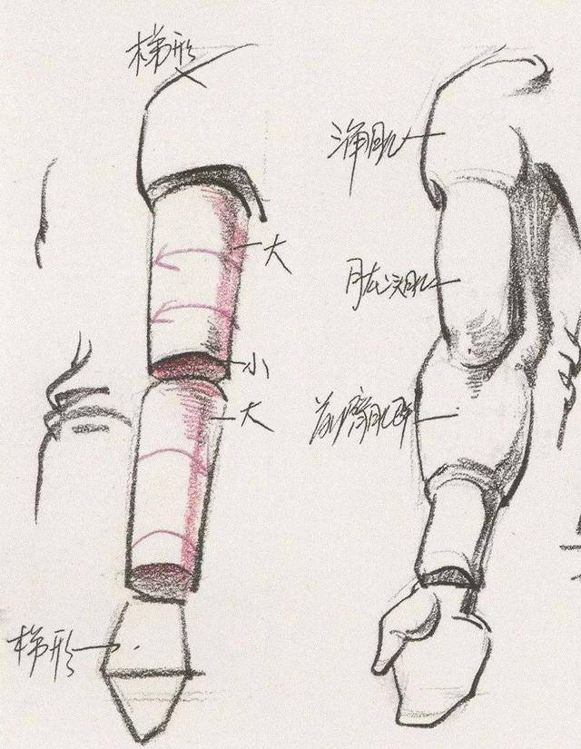 怎么快速学会画速写人物肢体