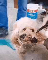 搞笑gif:约会后的女生会怎样?这走路方式太可爱了,这就是爱情的力量吧