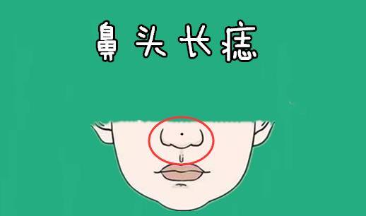 鼻子主财,在相学当中具有非常重要的地位,代表的是他们的财运与个人
