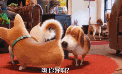 一定要挑个好看的宠物