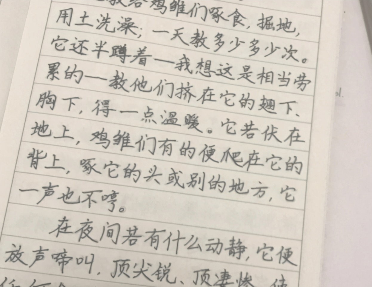 老师喜欢的3种字体,"鲸落体"独得恩宠,"奶酪体"心酸落泪