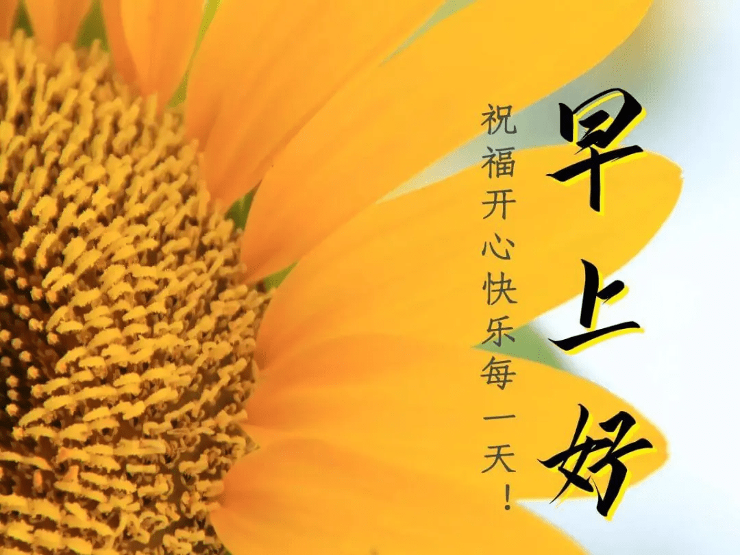 原创新的一天早安正能量语句最美早上好图片带字正能量