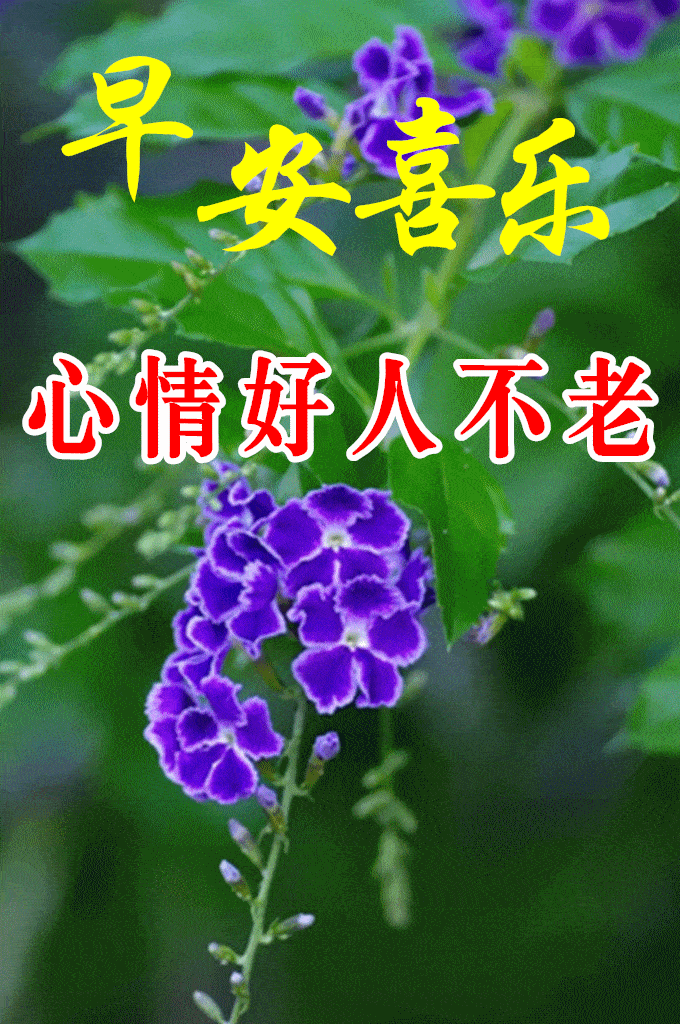 8张最新漂亮早上好图片鲜花带祝福语 创意唯美春日早安问候祝福图片