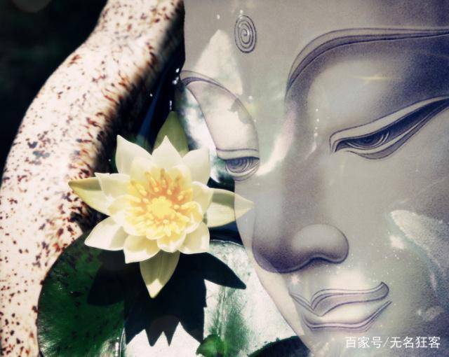 一花一佛一世界 来自搜狐网