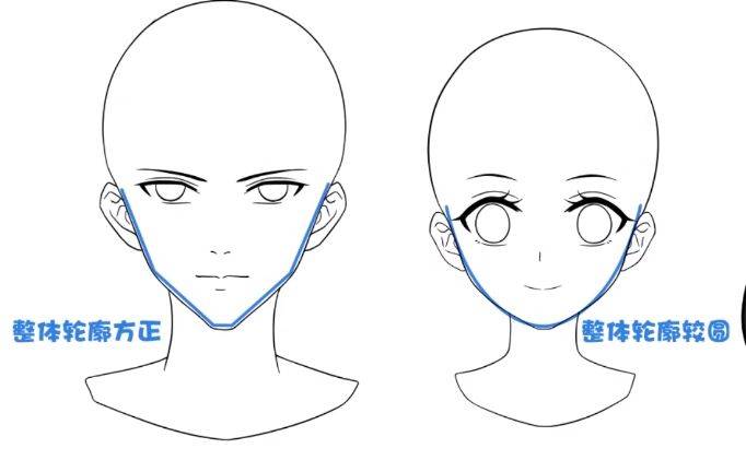 绘制人物脸部的技巧_轮廓
