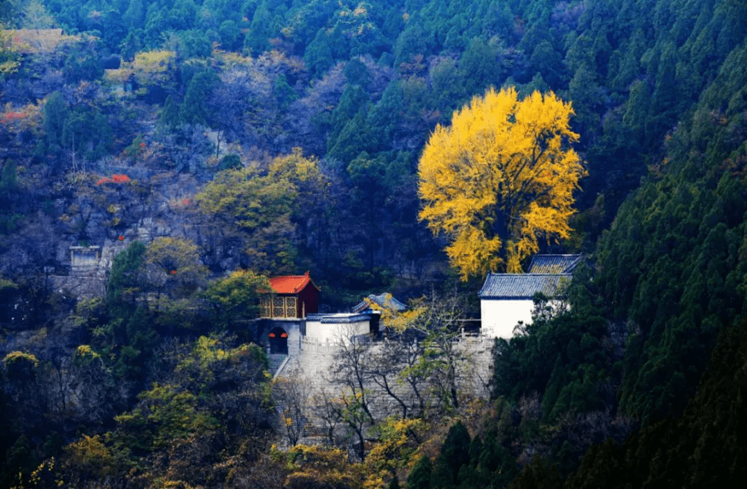 五一乡村游,乐享休闲慢生活,济南,淄博篇