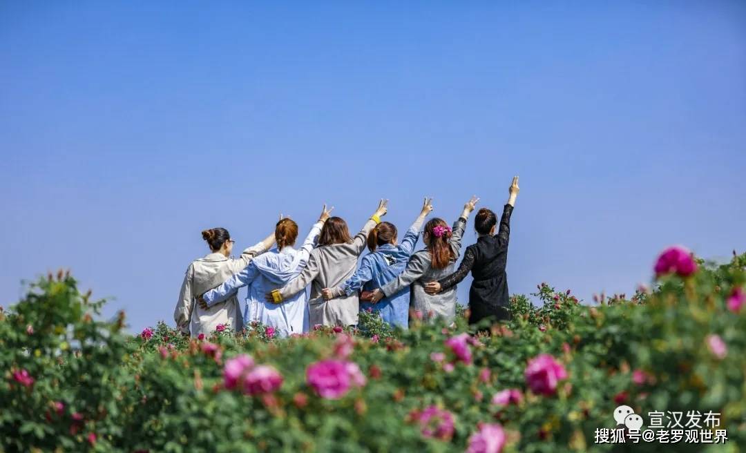 达州| 宣汉大成玫瑰之旅,邀你共度五一