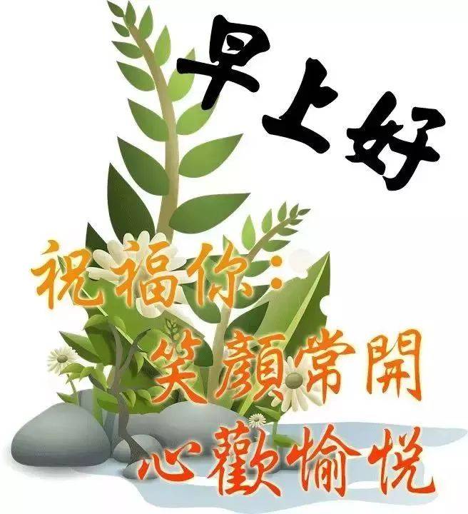 5月最新特别漂亮的早上好动画鲜花图片带祝福语 早安问候祝福动态表情