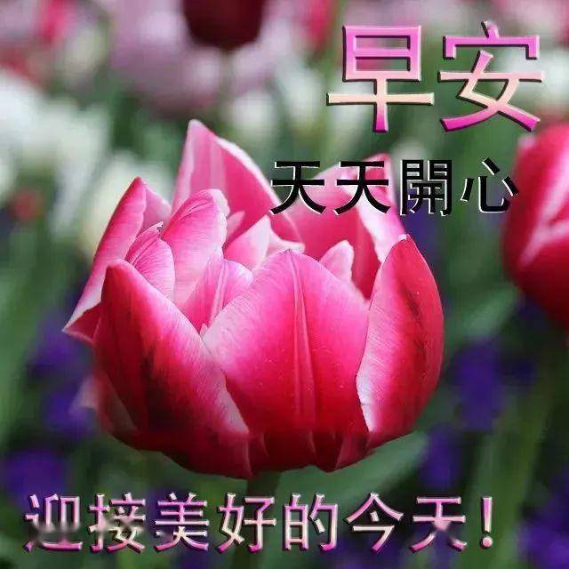 2021年5月1日星期六劳动节早上好问候免打字表情图片 五一劳动节最新